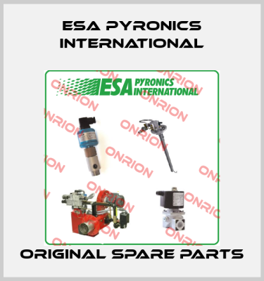 ESA Pyronics International