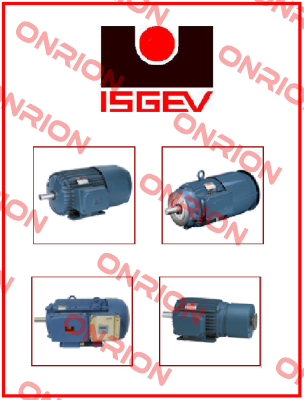 3 kV 2920 rpm 4BES 100LB2  Isgev