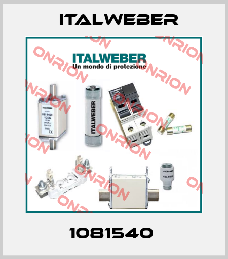1081540  Italweber