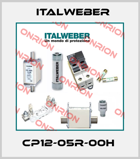 CP12-05R-00H  Italweber