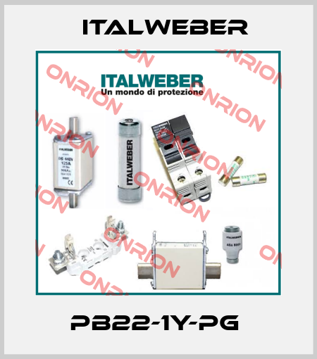 PB22-1Y-PG  Italweber