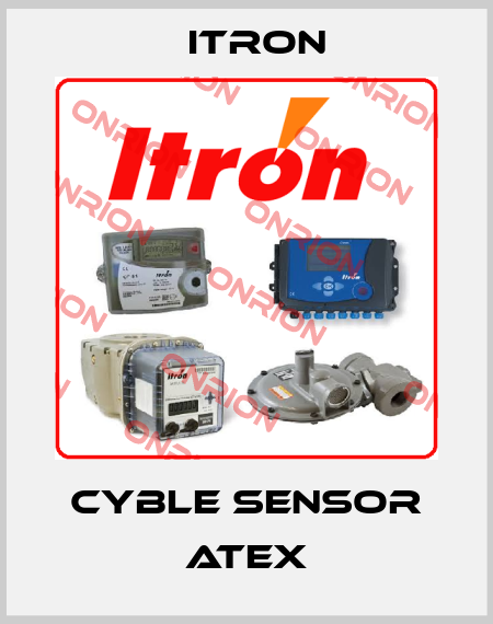 Cyble sensor ATEX Itron