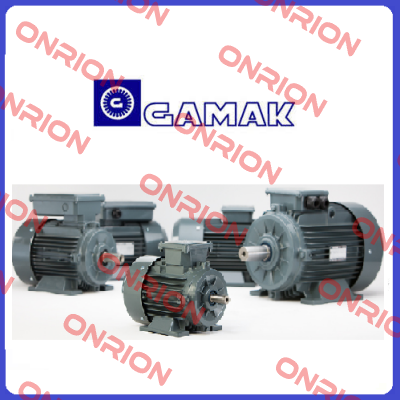 GM2E-200L/2a (B3-S)  Gamak