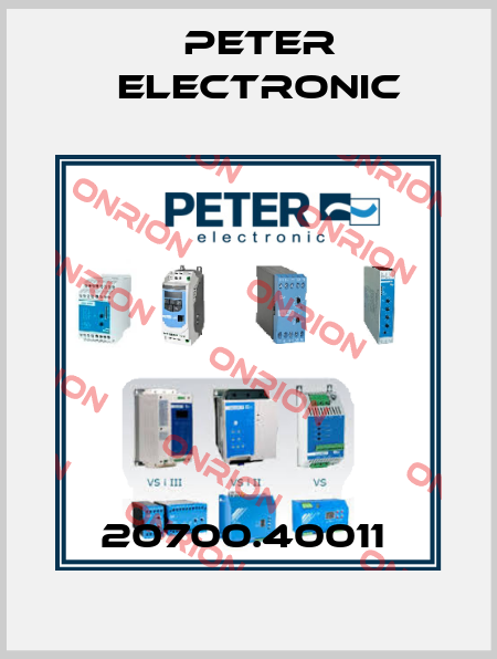 20700.40011  Peter Electronic