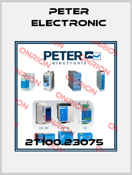 2T100.23075  Peter Electronic