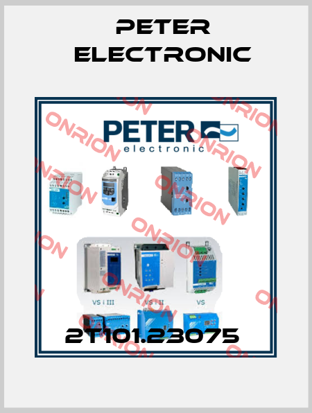 2T101.23075  Peter Electronic