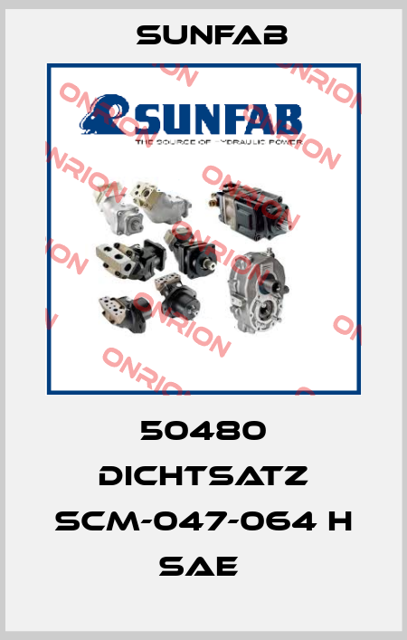 50480 DICHTSATZ SCM-047-064 H SAE  Sunfab