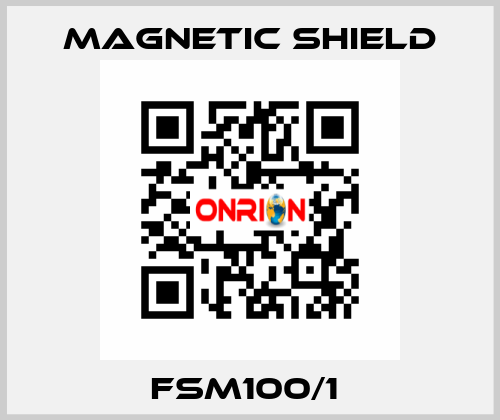 FSM100/1  Magnetic Shield