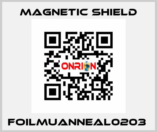 FOILMUANNEAL0203  Magnetic Shield