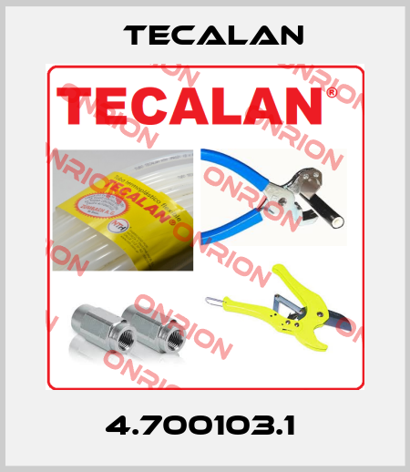 4.700103.1  Tecalan