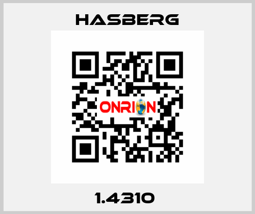 1.4310  Hasberg