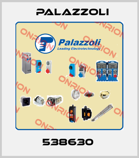 538630  Palazzoli