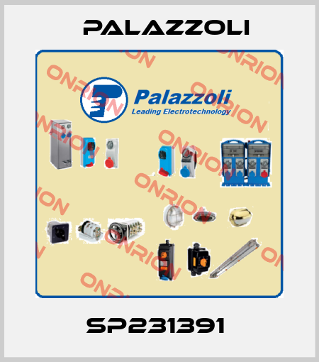 SP231391  Palazzoli