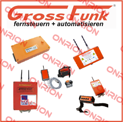 100-000-134 WECHSELAKKU 12V/1300MAH NI-MH  Gross Funk