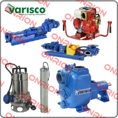 10014963 Varisco pumps