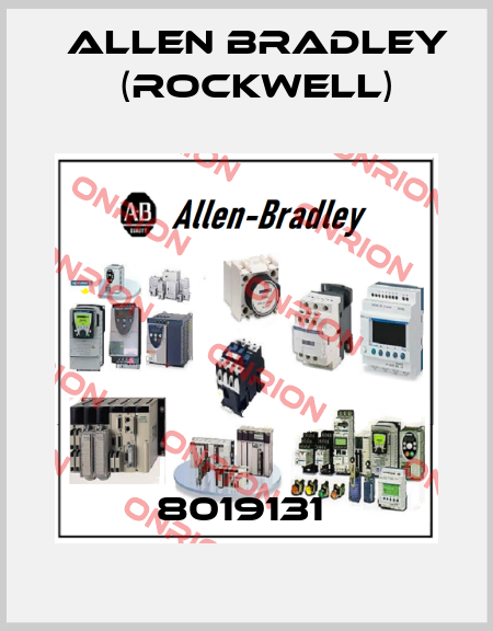 8019131  Allen Bradley (Rockwell)