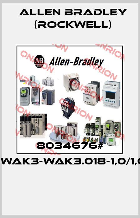 8034676# FSM4-WAK3-WAK3.018-1,0/1,0/P100  Allen Bradley (Rockwell)