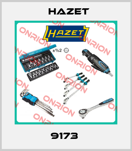 9173  Hazet