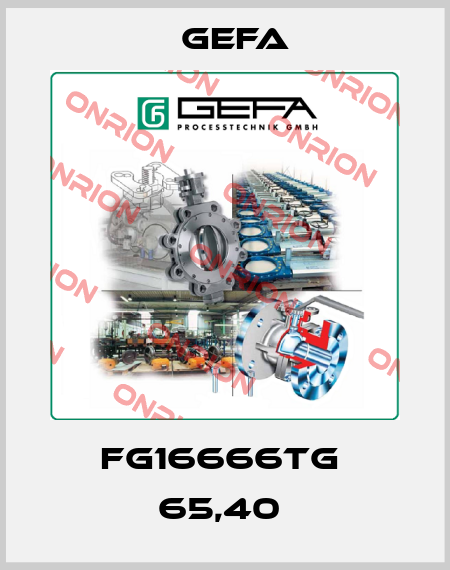 FG16666TG  65,40  Gefa