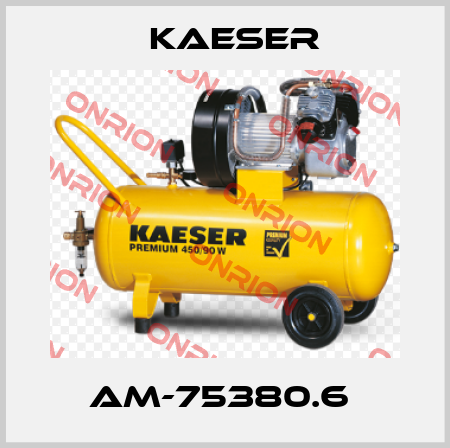 AM-75380.6  Kaeser