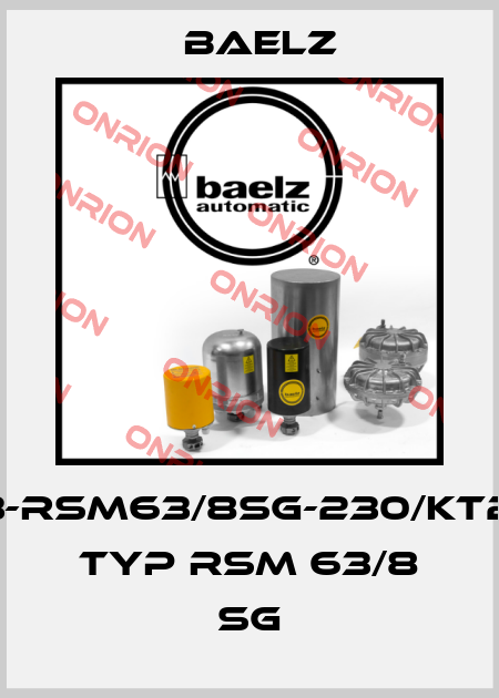 99373-RSM63/8SG-230/KT24669  Typ RSM 63/8 SG Baelz