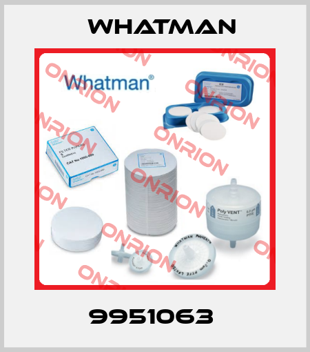 9951063  Whatman