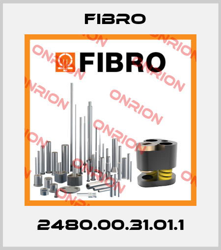 2480.00.31.01.1 Fibro