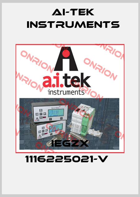 IEGZX 1116225021-V   AI-Tek Instruments