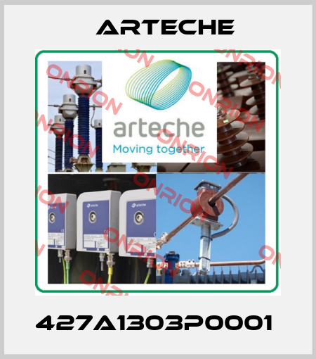427A1303P0001  Arteche