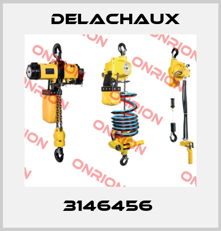3146456  Delachaux