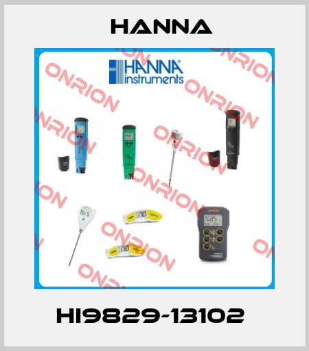 HI9829-13102  Hanna