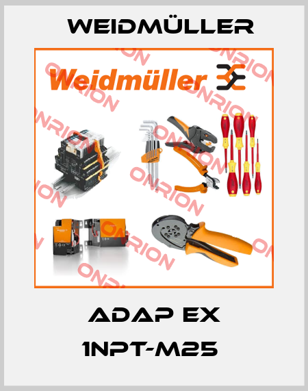 ADAP EX 1NPT-M25  Weidmüller
