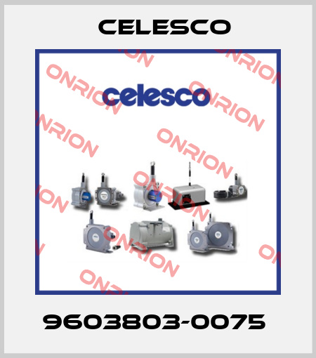 9603803-0075  Celesco