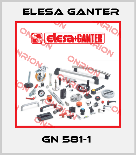 GN 581-1  Elesa Ganter