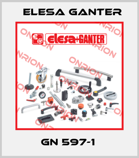 GN 597-1  Elesa Ganter