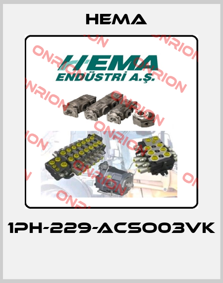 1PH-229-ACSO03VK  Hema