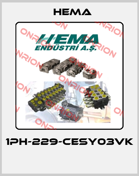 1PH-229-CESY03VK  Hema