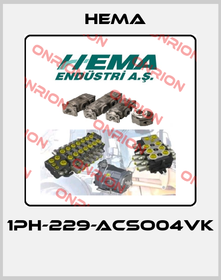 1PH-229-ACSO04VK  Hema