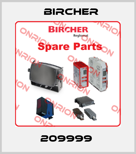 209999  Bircher