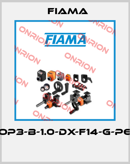 OP3-B-1.0-DX-F14-G-P6  Fiama