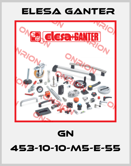 GN 453-10-10-M5-E-55 Elesa Ganter