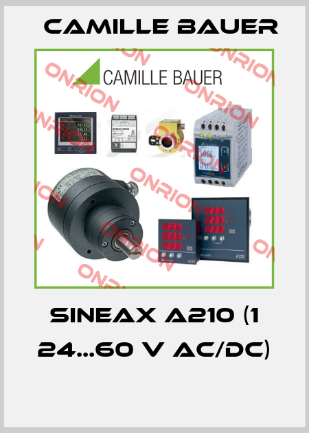 SINEAX A210 (1 24...60 V AC/DC)  Camille Bauer