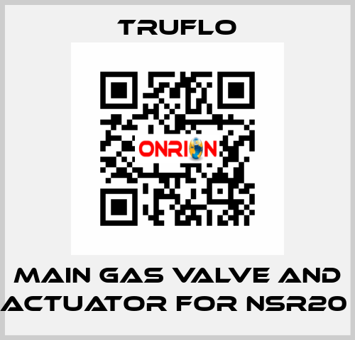 Main Gas Valve and Actuator For NSR20  TRUFLO