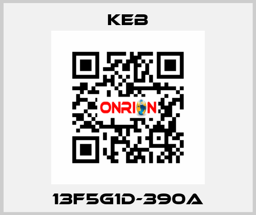 13F5G1D-390A KEB