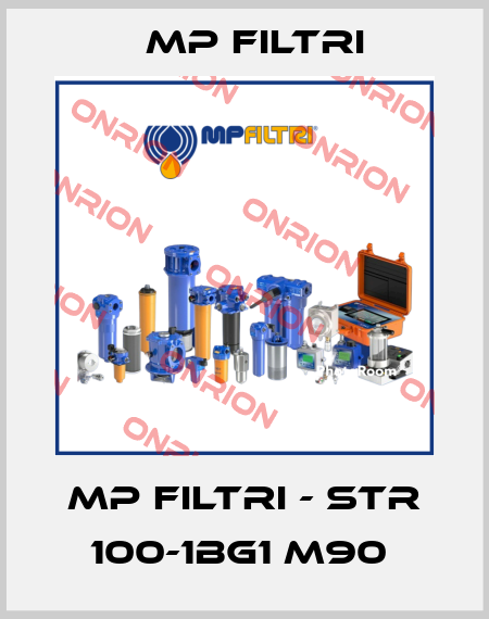 MP Filtri - STR 100-1BG1 M90  MP Filtri