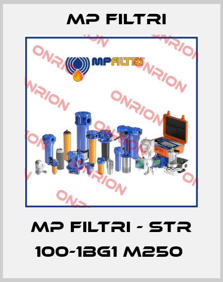 MP Filtri - STR 100-1BG1 M250  MP Filtri