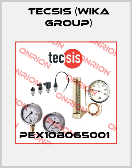 PEX10B065001  Tecsis (WIKA Group)