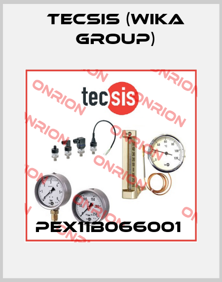 PEX11B066001  Tecsis (WIKA Group)