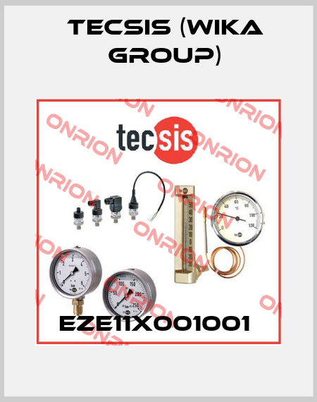 EZE11X001001  Tecsis (WIKA Group)