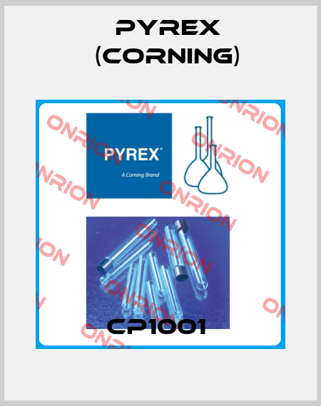 CP1001  Pyrex (Corning)